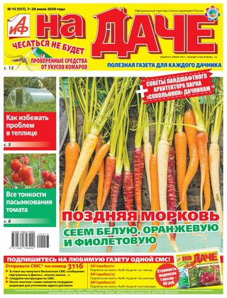 На даче №13, июль 2020 - Читать журналы и газеты онлайн бесплатно без регистрации | Печатные периодические издания на bookjurn.ru