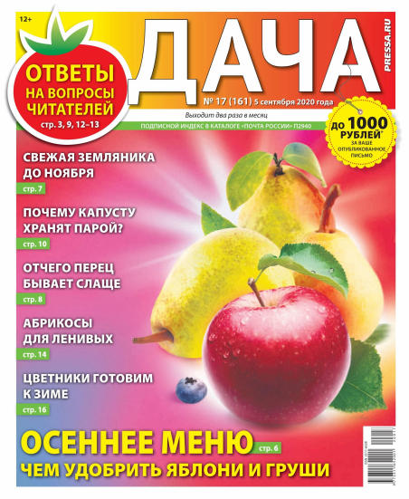 Дача №17, сентябрь 2020 - Читать журналы и газеты онлайн бесплатно без регистрации | Печатные периодические издания на bookjurn.ru