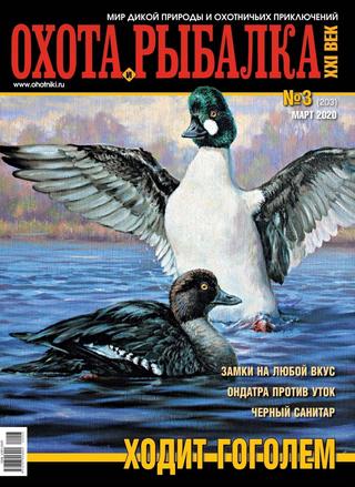 Охота и рыбалка XXI век №3, март 2020 - Читать журналы и газеты онлайн бесплатно без регистрации | Печатные периодические издания на bookjurn.ru