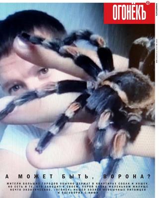 Огонёкъ №35, сентябрь 2020 - Читать журналы и газеты онлайн бесплатно без регистрации | Печатные периодические издания на bookjurn.ru