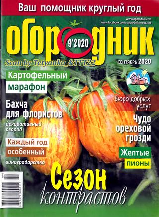 Огородник № 9, сентябрь 2020 - Читать журналы и газеты онлайн бесплатно без регистрации | Печатные периодические издания на bookjurn.ru