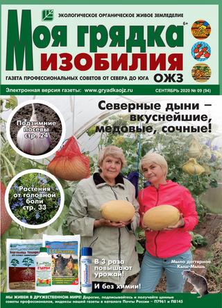 Моя грядка изобилия №9, сентябрь 2020 - Читать журналы и газеты онлайн бесплатно без регистрации | Печатные периодические издания на bookjurn.ru