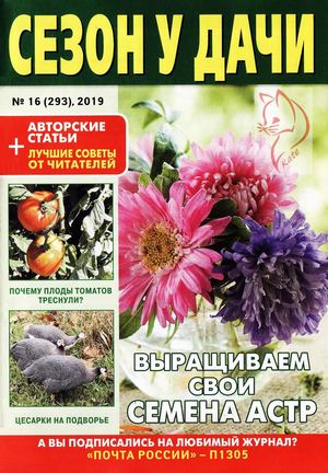 Сезон у дачи №16, август 2019 - Читать журналы и газеты онлайн бесплатно без регистрации | Печатные периодические издания на bookjurn.ru