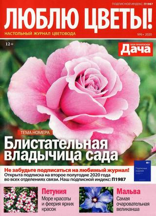 Люблю цветы №6, 2020 - Читать журналы и газеты онлайн бесплатно без регистрации | Печатные периодические издания на bookjurn.ru