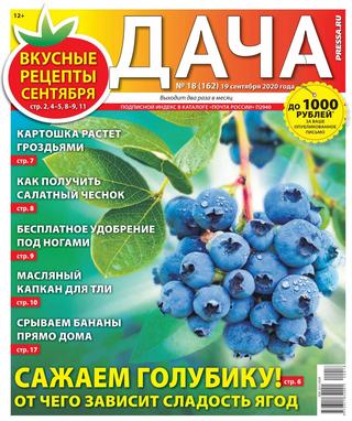 Дача №18, сентябрь 2020 - Читать журналы и газеты онлайн бесплатно без регистрации | Печатные периодические издания на bookjurn.ru