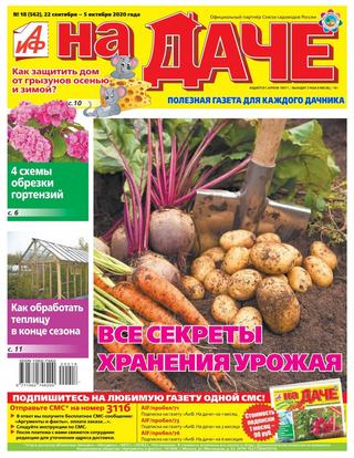 Аиф. На даче №18, сентябрь-октябрь 2020 - Читать журналы и газеты онлайн бесплатно без регистрации | Печатные периодические издания на bookjurn.ru