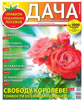 Дача №19, октябрь 2020 - Читать журналы и газеты онлайн бесплатно без регистрации | Печатные периодические издания на bookjurn.ru