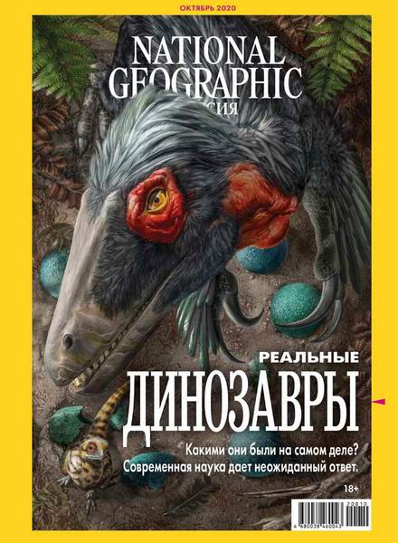 National Geographic №10, октябрь 2020 - Читать журналы и газеты онлайн бесплатно без регистрации | Печатные периодические издания на bookjurn.ru