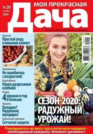 Моя прекрасная дача №20, октябрь 2020 - Читать журналы и газеты онлайн бесплатно без регистрации | Печатные периодические издания на bookjurn.ru
