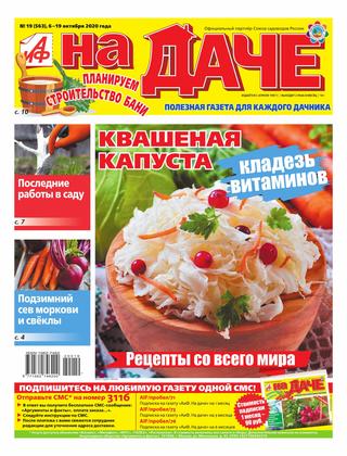 АиФ. На даче №19, октябрь 2020 - Читать журналы и газеты онлайн бесплатно без регистрации | Печатные периодические издания на bookjurn.ru