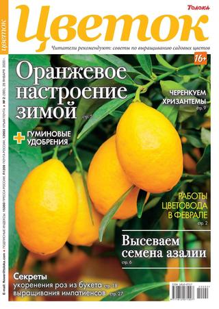 Цветок №2, январь 2020 - Читать журналы и газеты онлайн бесплатно без регистрации | Печатные периодические издания на bookjurn.ru