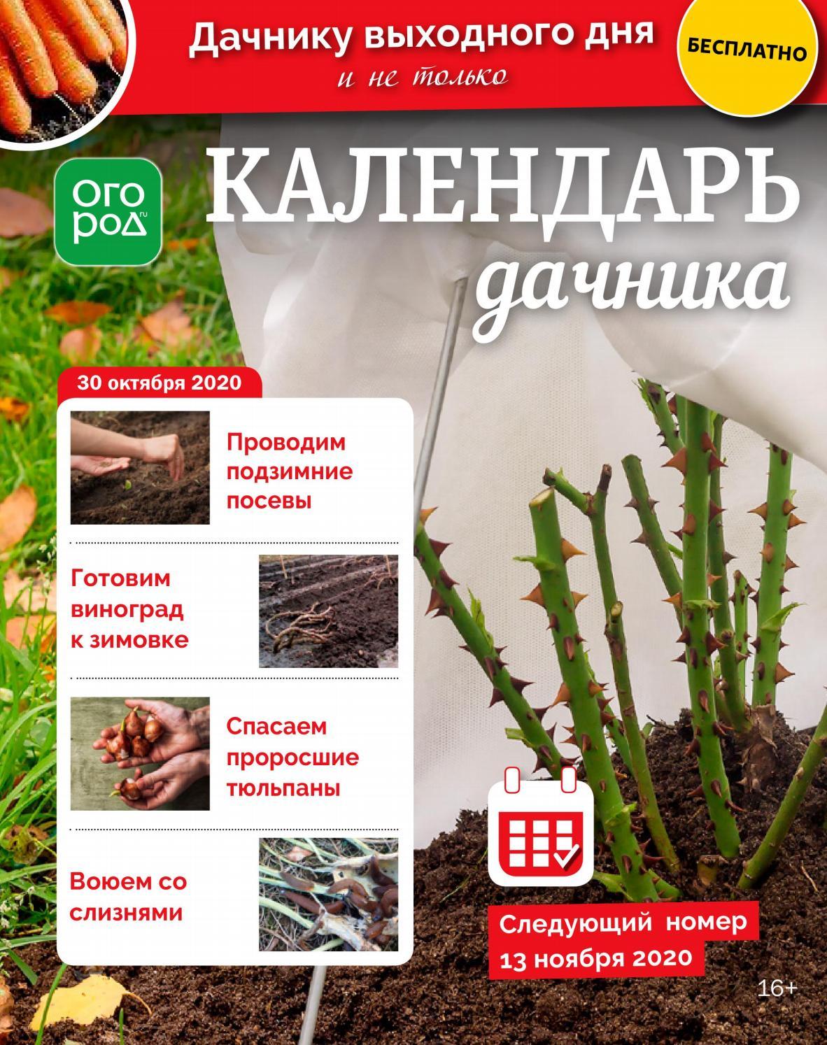 Календарь дачника №21, ноябрь 2020 - Читать журналы и газеты онлайн бесплатно без регистрации | Печатные периодические издания на bookjurn.ru