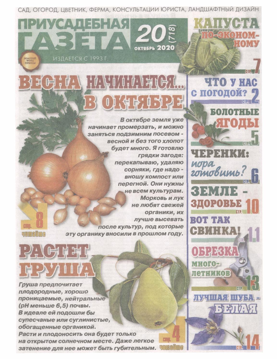 Приусадебная газета №20, октябрь 2020 - Читать журналы и газеты онлайн бесплатно без регистрации | Печатные периодические издания на bookjurn.ru