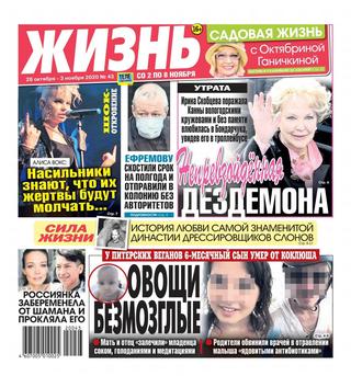 Жизнь №43, ноябрь 2020 - Читать журналы и газеты онлайн бесплатно без регистрации | Печатные периодические издания на bookjurn.ru