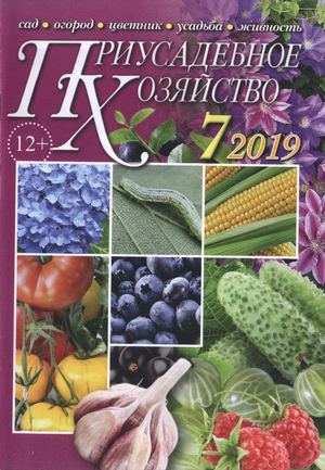 Приусадебное хозяйство №7, июль 2019 - Читать журналы и газеты онлайн бесплатно без регистрации | Печатные периодические издания на bookjurn.ru