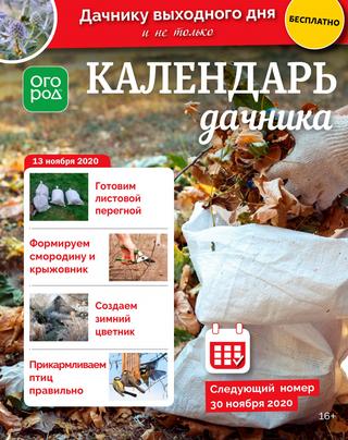 Огород Ру. Календарь дачника №22, ноябрь 2020 - Читать журналы и газеты онлайн бесплатно без регистрации | Печатные периодические издания на bookjurn.ru
