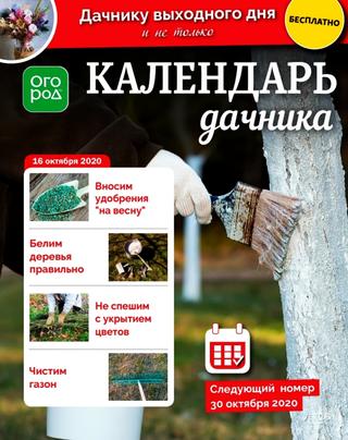 Огород Ру. Календарь дачника №20, октябрь 2020 - Читать журналы и газеты онлайн бесплатно без регистрации | Печатные периодические издания на bookjurn.ru