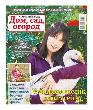 Круглый год: Дом, сад, огород №23, 2020 - Читать журналы и газеты онлайн бесплатно без регистрации | Печатные периодические издания на bookjurn.ru