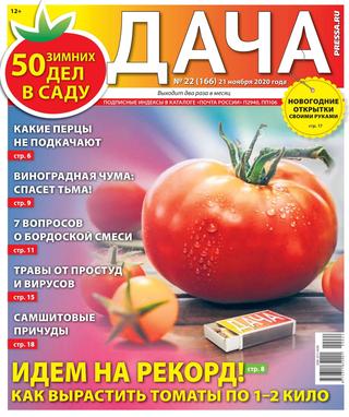Дача №22, Ноябрь 2020 - Читать журналы и газеты онлайн бесплатно без регистрации | Печатные периодические издания на bookjurn.ru