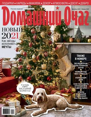 Домашний очаг №12, декабрь 2020 - Читать журналы и газеты онлайн бесплатно без регистрации | Печатные периодические издания на bookjurn.ru