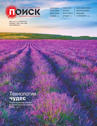 Поиск №47, ноябрь 2020 - Читать журналы и газеты онлайн бесплатно без регистрации | Печатные периодические издания на bookjurn.ru