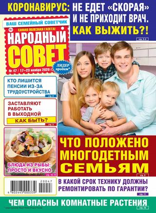 Народный совет №47, ноябрь 2020 - Читать журналы и газеты онлайн бесплатно без регистрации | Печатные периодические издания на bookjurn.ru