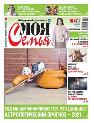 Моя семья №47, ноябрь 2020 - Читать журналы и газеты онлайн бесплатно без регистрации | Печатные периодические издания на bookjurn.ru