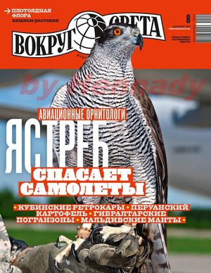 Вокруг света №8, август 2019 - Читать журналы и газеты онлайн бесплатно без регистрации | Печатные периодические издания на bookjurn.ru