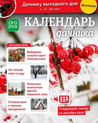 Календарь дачника №23, ноябрь 2020 - Читать журналы и газеты онлайн бесплатно без регистрации | Печатные периодические издания на bookjurn.ru