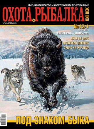 Охота и рыбалка XXI век №12-1, декабрь 2020 — январь 2021 - Читать журналы и газеты онлайн бесплатно без регистрации | Печатные периодические издания на bookjurn.ru