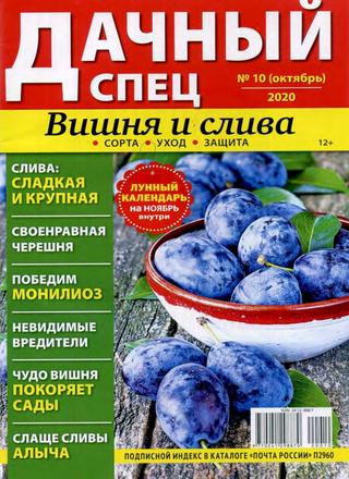 Дачный спец №10, октябрь 2020 - Читать журналы и газеты онлайн бесплатно без регистрации | Печатные периодические издания на bookjurn.ru