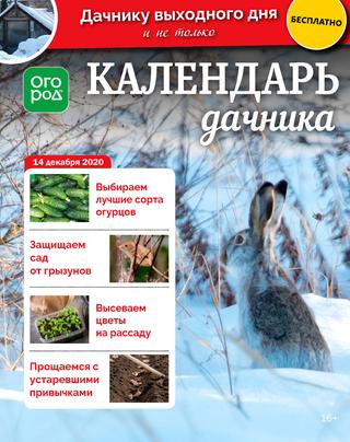 Огород Ру. Календарь дачника №24, декабрь 2020 - Читать журналы и газеты онлайн бесплатно без регистрации | Печатные периодические издания на bookjurn.ru