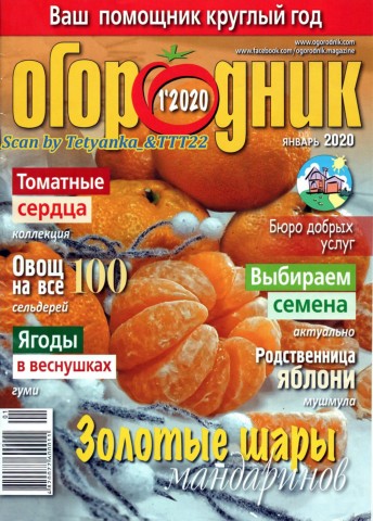 Огородник №1, январь 2020 - Читать журналы и газеты онлайн бесплатно без регистрации | Печатные периодические издания на bookjurn.ru