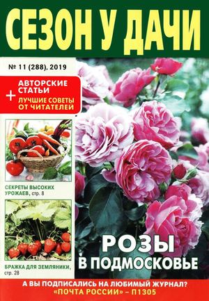 Сезон у дачи №11, июнь 2019 - Читать журналы и газеты онлайн бесплатно без регистрации | Печатные периодические издания на bookjurn.ru