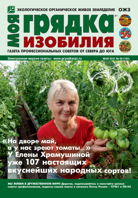 Моя грядка изобилия №5, май 2021 - Читать журналы и газеты онлайн бесплатно без регистрации | Печатные периодические издания на bookjurn.ru