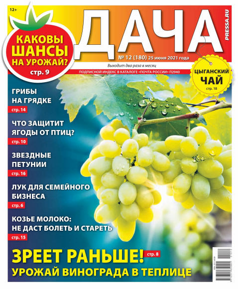 Дача №12, июнь 2021 - Читать журналы и газеты онлайн бесплатно без регистрации | Печатные периодические издания на bookjurn.ru