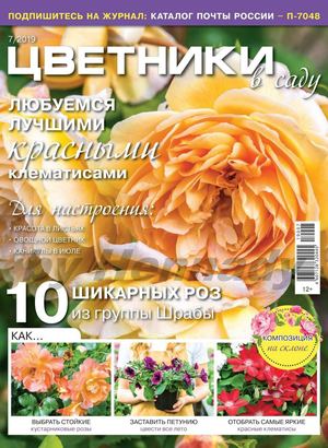 Цветники в саду №7, июль 2019 - Читать журналы и газеты онлайн бесплатно без регистрации | Печатные периодические издания на bookjurn.ru