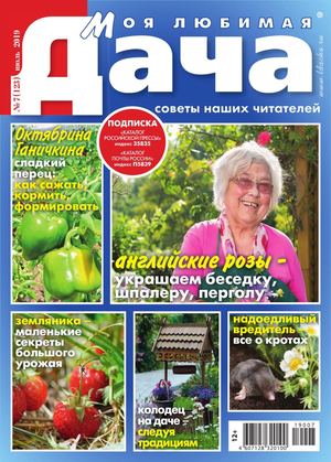 Моя любимая дача №7, июль 2019 - Читать журналы и газеты онлайн бесплатно без регистрации | Печатные периодические издания на bookjurn.ru