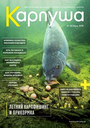 Карпуша №28, июнь 2019 - Читать журналы и газеты онлайн бесплатно без регистрации | Печатные периодические издания на bookjurn.ru