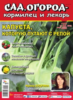 Сад, огород – кормилец и лекарь №11, июнь 2019 - Читать журналы и газеты онлайн бесплатно без регистрации | Печатные периодические издания на bookjurn.ru