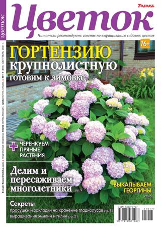 Цветок №17 (сентябрь/2021) - Читать журналы и газеты онлайн бесплатно без регистрации | Печатные периодические издания на bookjurn.ru