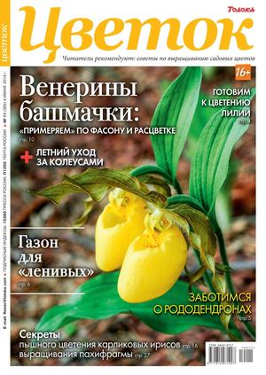 Цветок №11, июнь 2019 - Читать журналы и газеты онлайн бесплатно без регистрации | Печатные периодические издания на bookjurn.ru