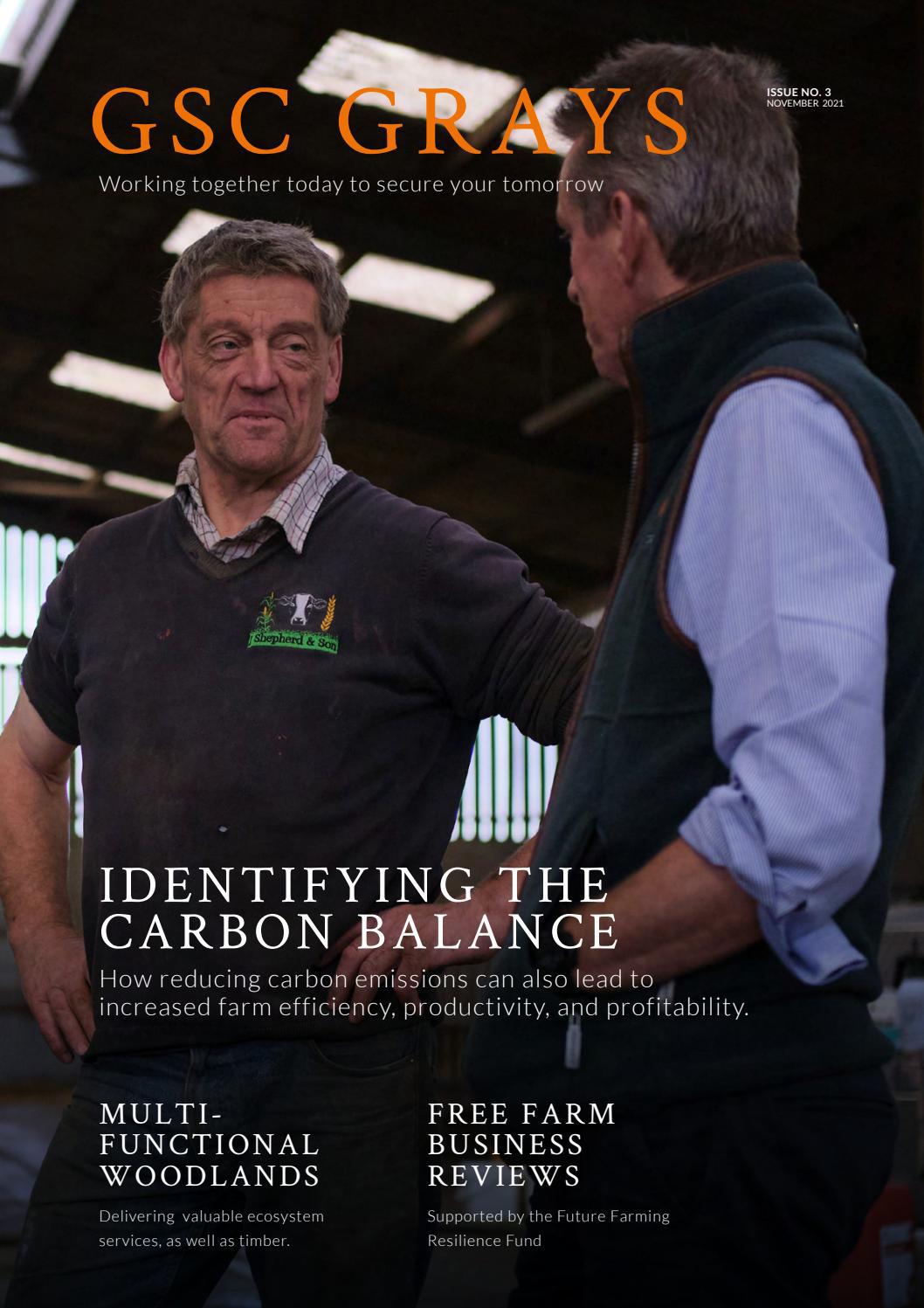 Csc grays - Читать журналы и газеты онлайн бесплатно без регистрации | Печатные периодические издания на bookjurn.ru