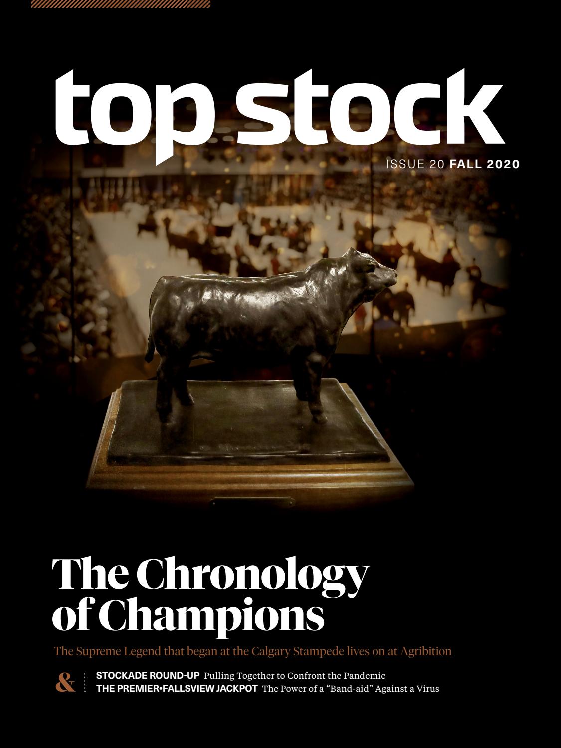 top stock - Читать журналы и газеты онлайн бесплатно без регистрации | Печатные периодические издания на bookjurn.ru