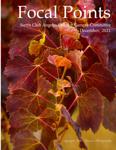 Focal Points Magazine, December 2021 - Читать журналы и газеты онлайн бесплатно без регистрации | Печатные периодические издания на bookjurn.ru