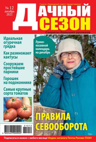 Дачный сезон №12 (декабрь/2021) - Читать журналы и газеты онлайн бесплатно без регистрации | Печатные периодические издания на bookjurn.ru