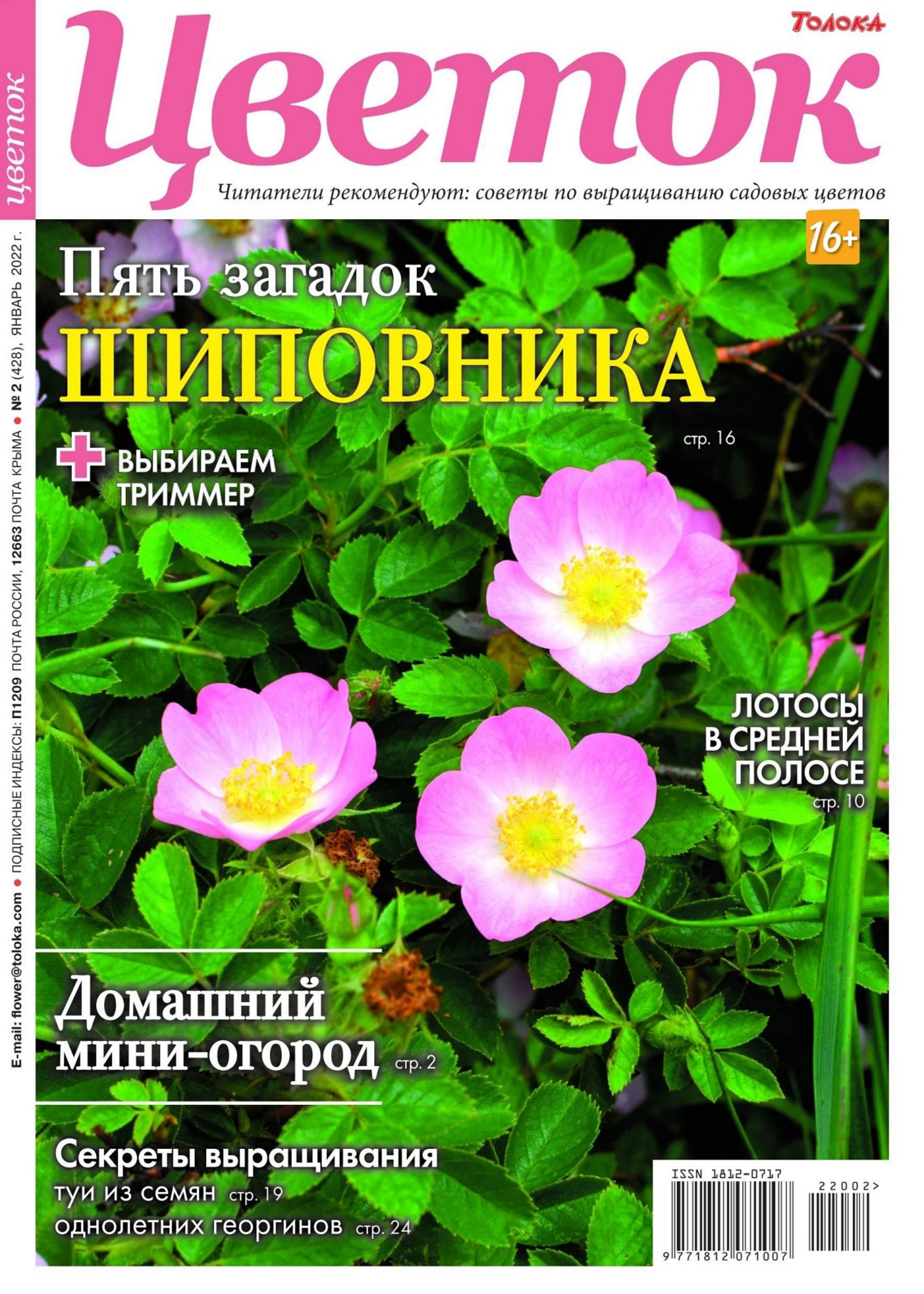Цветок №2 (январь/2022) - Читать журналы и газеты онлайн бесплатно без регистрации | Печатные периодические издания на bookjurn.ru