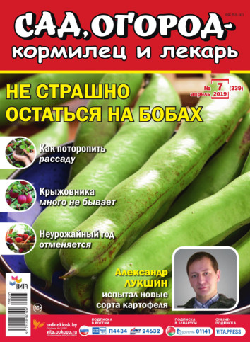 Сад, огород кормилец и лекарь №7, апрель 2019 - Читать журналы и газеты онлайн бесплатно без регистрации | Печатные периодические издания на bookjurn.ru