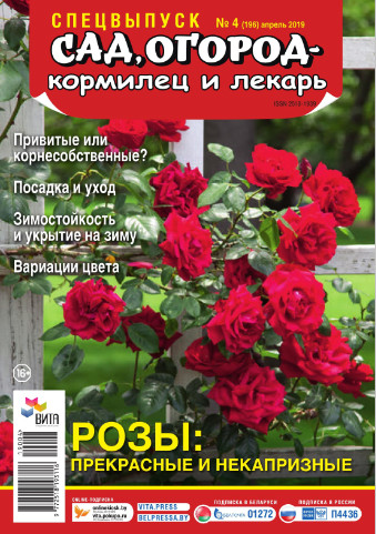 Сад, огород кормилец и лекарь. Спецвыпуск №4, апрель 2019 - Читать журналы и газеты онлайн бесплатно без регистрации | Печатные периодические издания на bookjurn.ru