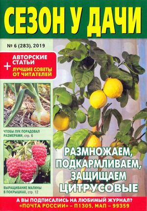 Сезон у дачи №6, март 2019 - Читать журналы и газеты онлайн бесплатно без регистрации | Печатные периодические издания на bookjurn.ru